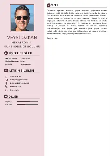 Mekatronik Mühendisliği Cv Örnekleri cv indir